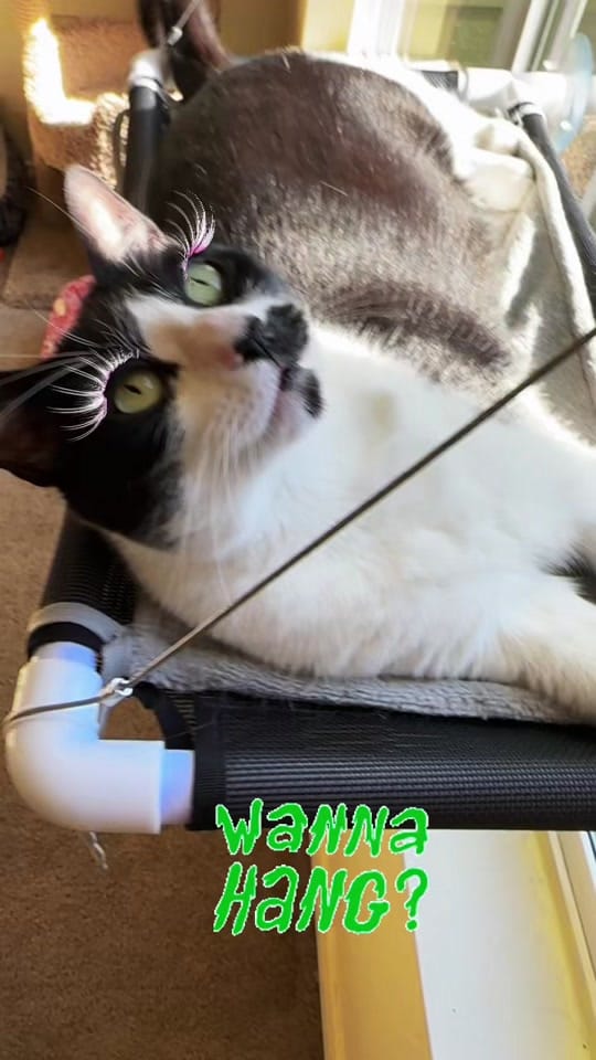 Post 5 by Julie on TikTok (video)