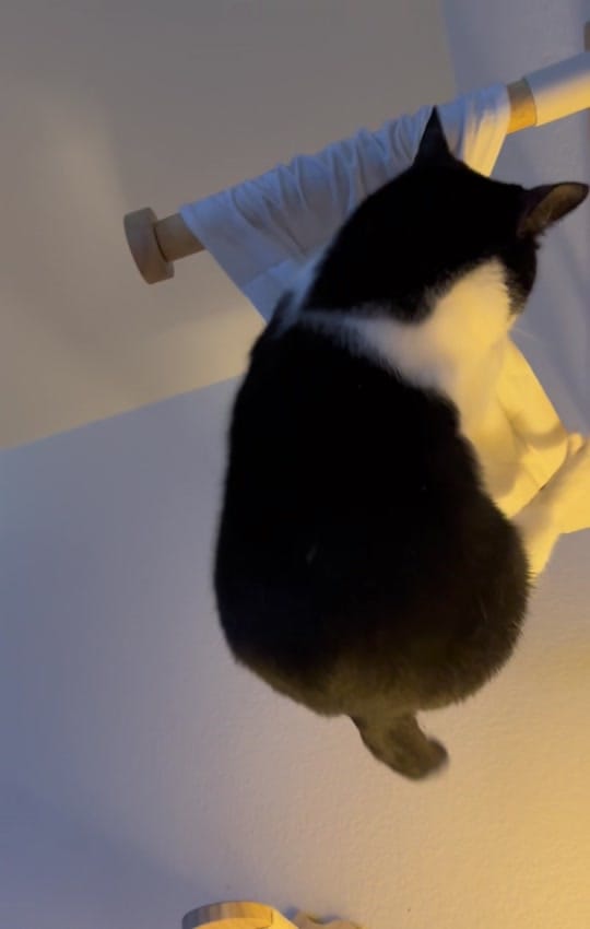 Post 7 by Julie on TikTok (video)