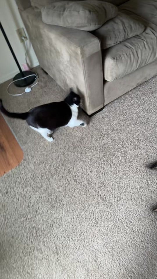 Post 6 by Julie on TikTok (video)