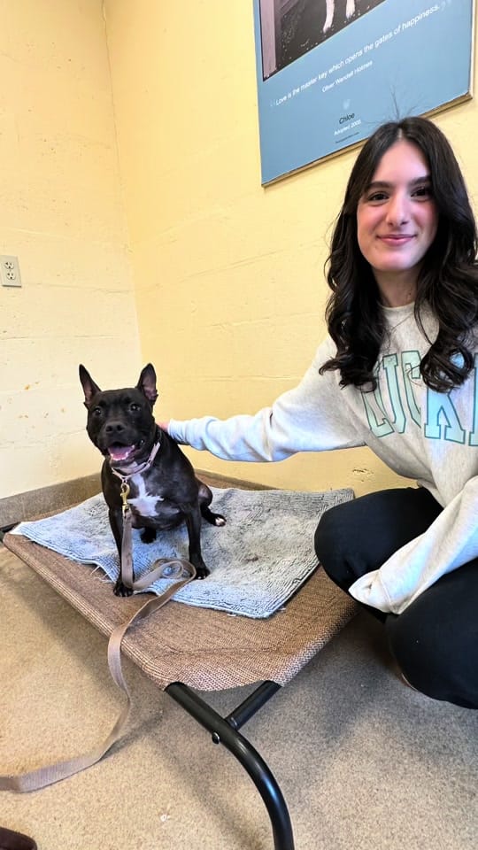 Post 8 by Monmouth County SPCA on TikTok (video)