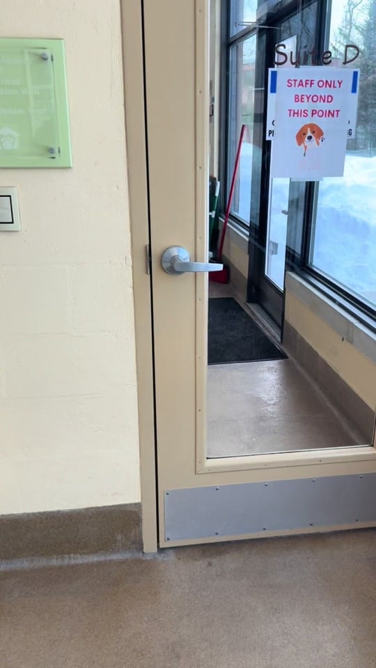 Post 5 by Monmouth County SPCA on TikTok (video)