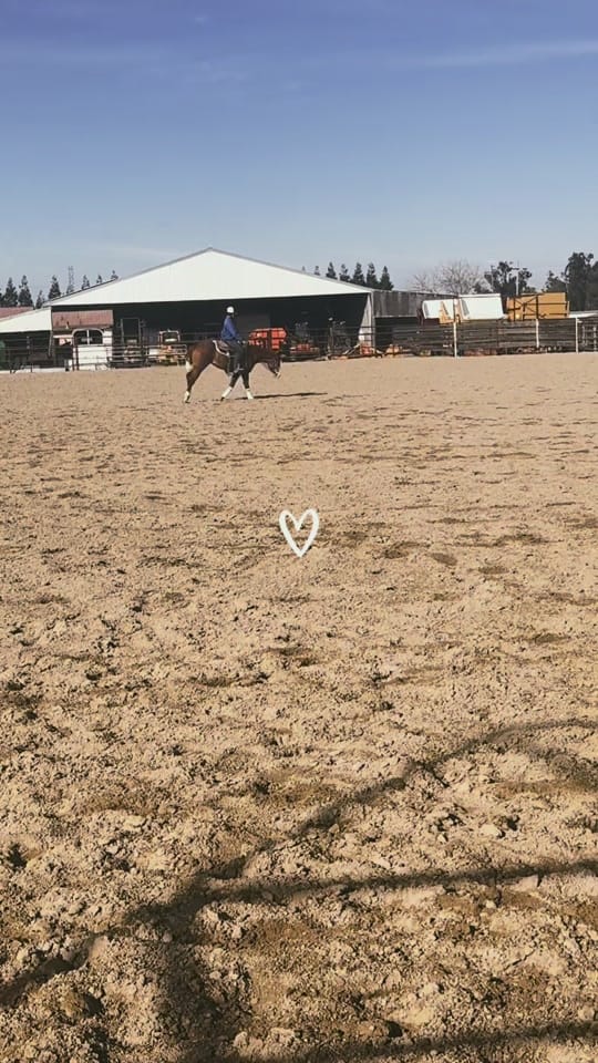 Post 2 by Paige Bonetti on TikTok (video)