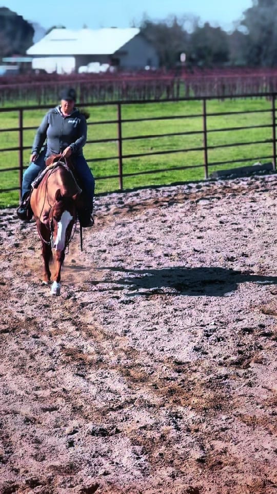 Post 1 by Paige Bonetti on TikTok (video)
