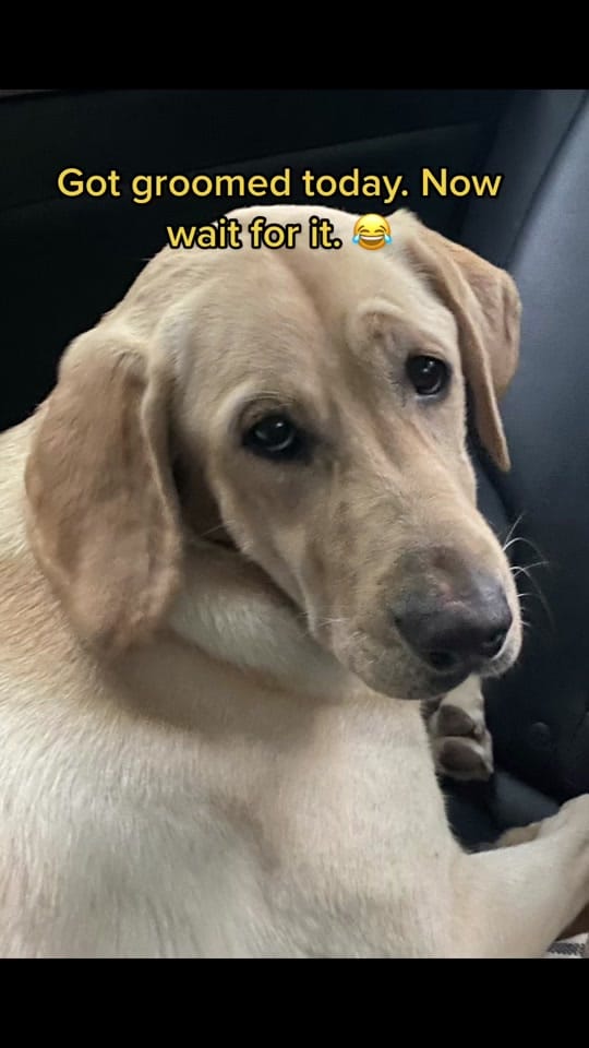 Post 7 by DeeDee Frederick on TikTok (video)