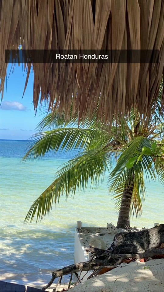 Post 9 by DeeDee Frederick on TikTok (video)