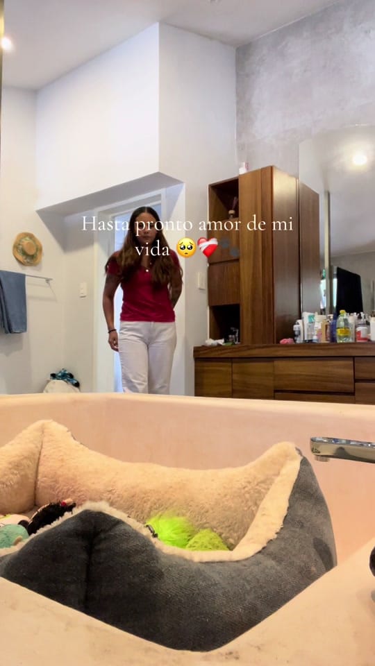 Post 8 by 🍃D H Y ✨🐧 on TikTok (video)