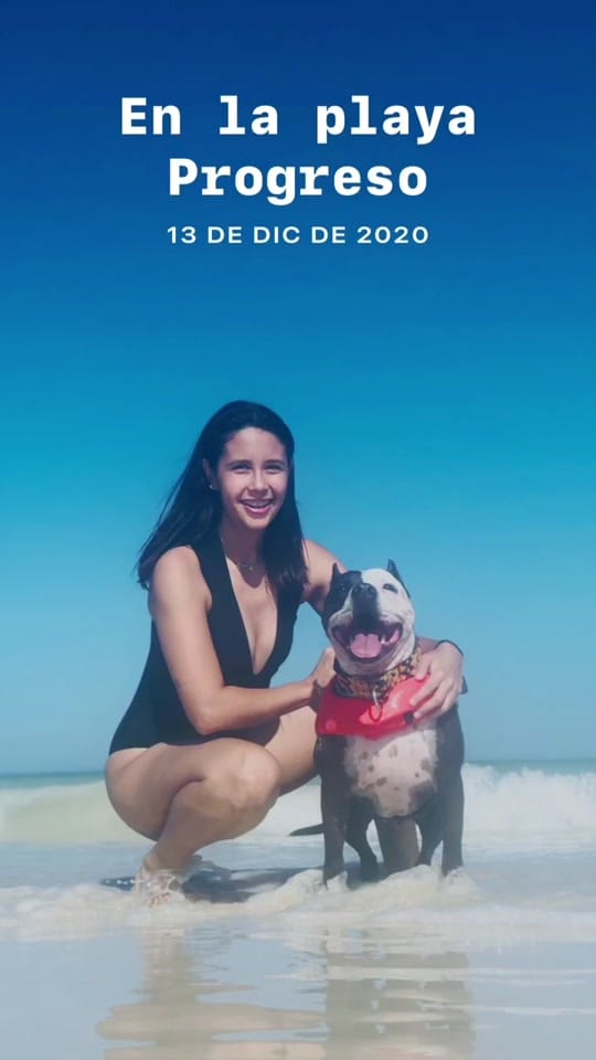 Post 10 by 🍃D H Y ✨🐧 on TikTok (video)
