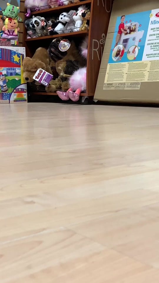 Post 3 by Toytown Toronto on TikTok (video)