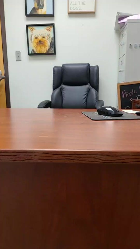 Post 6 by Humane Society of SW MO on TikTok (video)