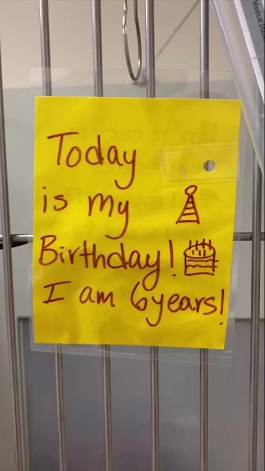 Post 10 by Humane Society of SW MO on TikTok (video)