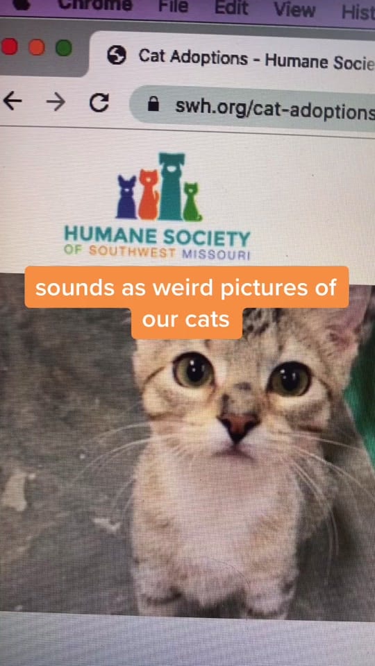 Post 9 by Humane Society of SW MO on TikTok (video)