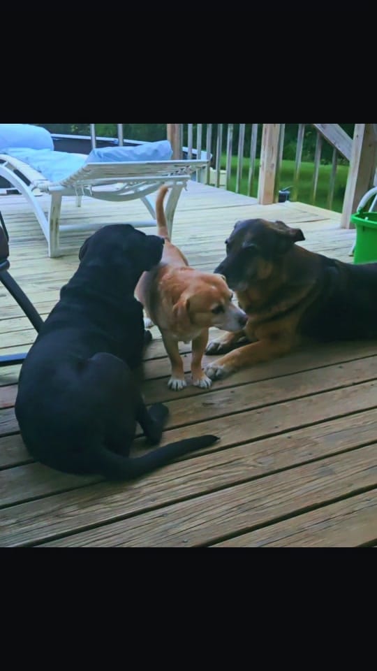 Post 5 by Christy Nicole on TikTok (video)