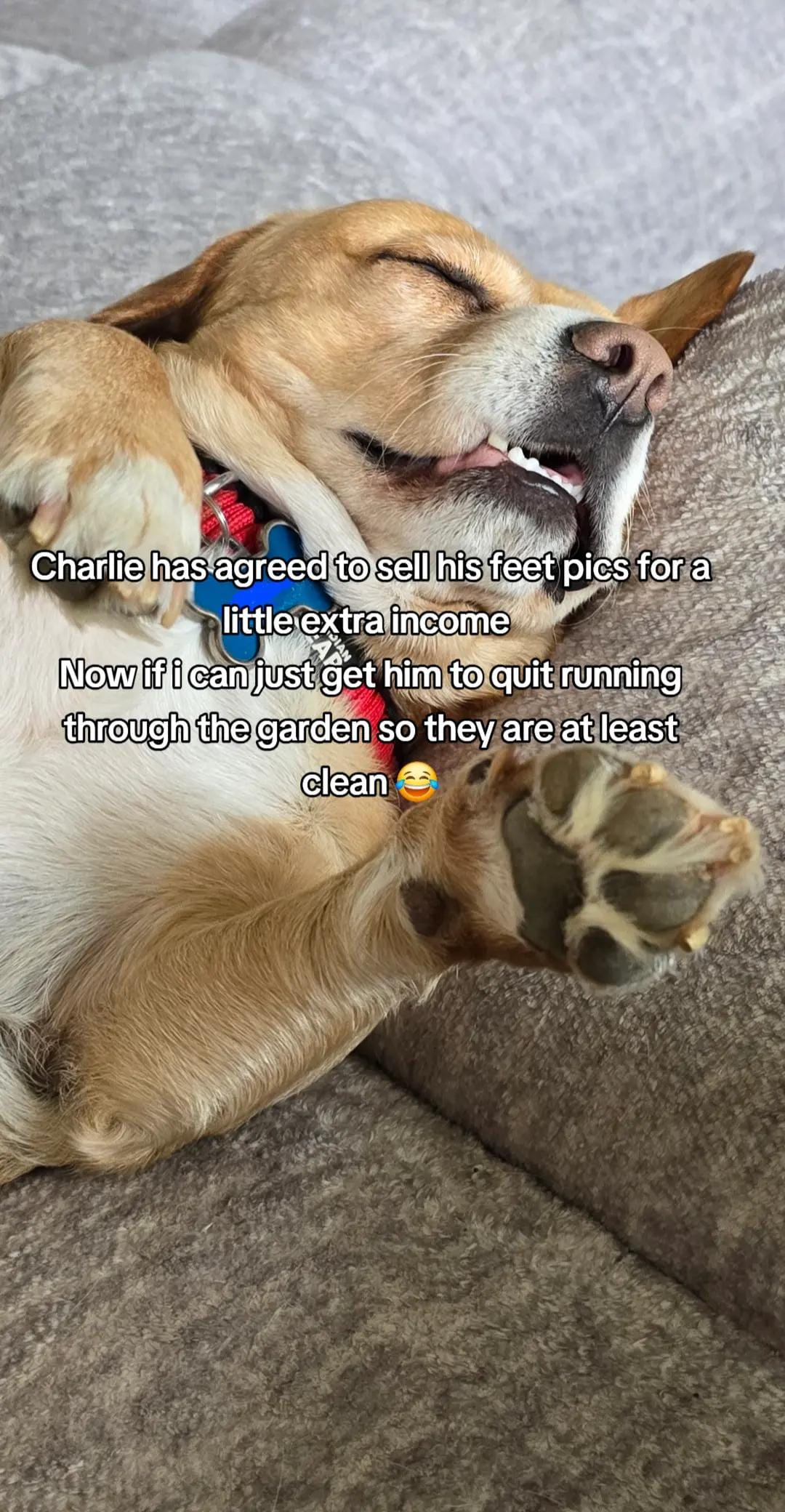 Post 7 by Christy Nicole on TikTok (video)