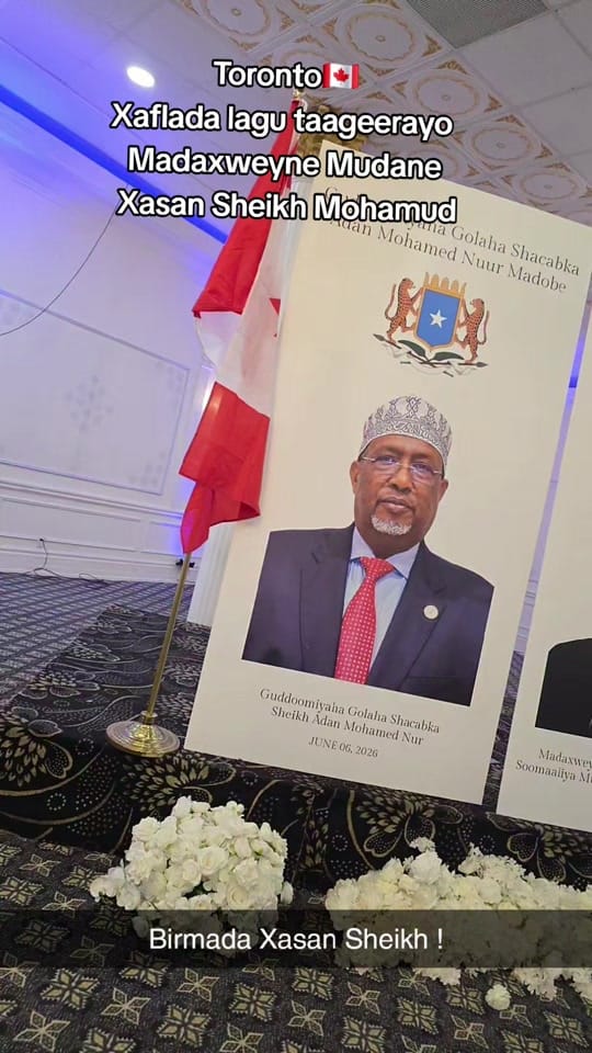 Post 6 by Yasmin Xurmo🇸🇴🇨🇦 on TikTok (video)