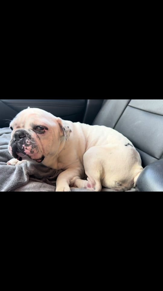 Post 10 by Bailingoutbentley on TikTok (video)