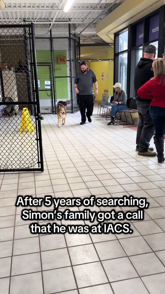 Post 2 by Indy Animal Care Services on TikTok (video)