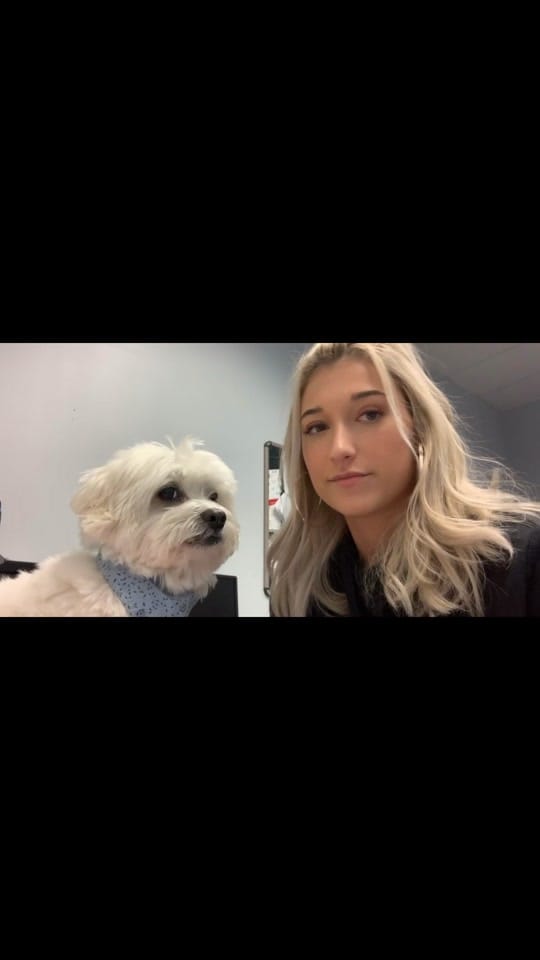 Post 6 by Finnegan🐾 on TikTok (video)