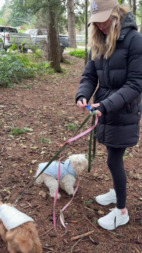 Post 4 by Finnegan🐾 on TikTok (video)