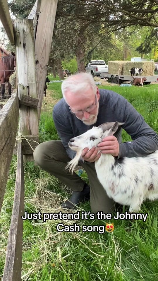Post 7 by Riverside Animal Clinic & HC on TikTok (video)