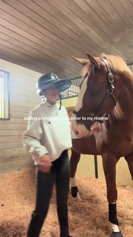Post 9 by kt.mack on TikTok (video)