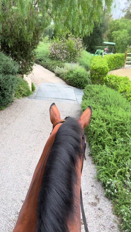 Post 5 by kt.mack on TikTok (video)
