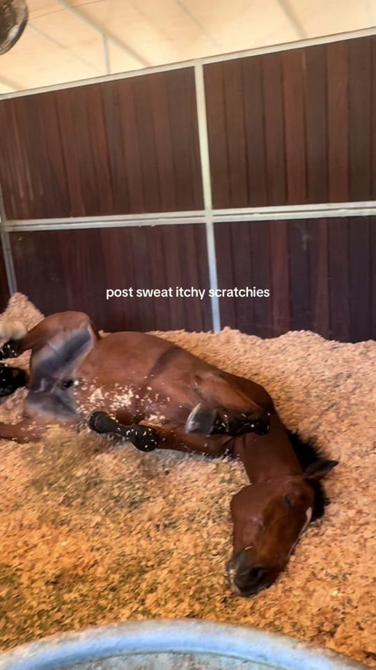 Post 8 by kt.mack on TikTok (video)
