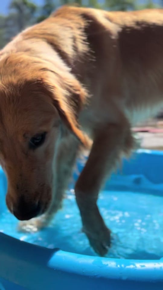 Post 6 by GDB_Official on TikTok (video)
