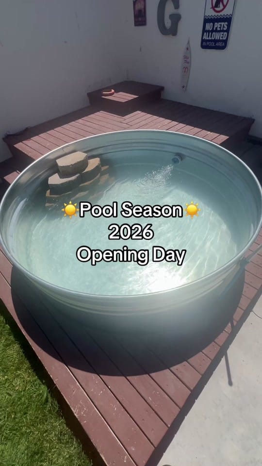 Post 2 by DudetheBulldog on TikTok (video)