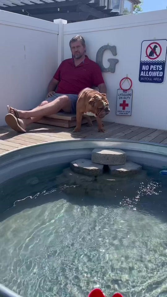 Post 1 by DudetheBulldog on TikTok (video)