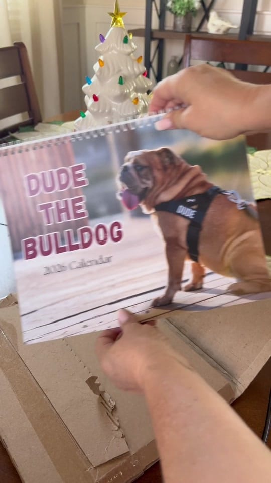 Post 5 by DudetheBulldog on TikTok (video)