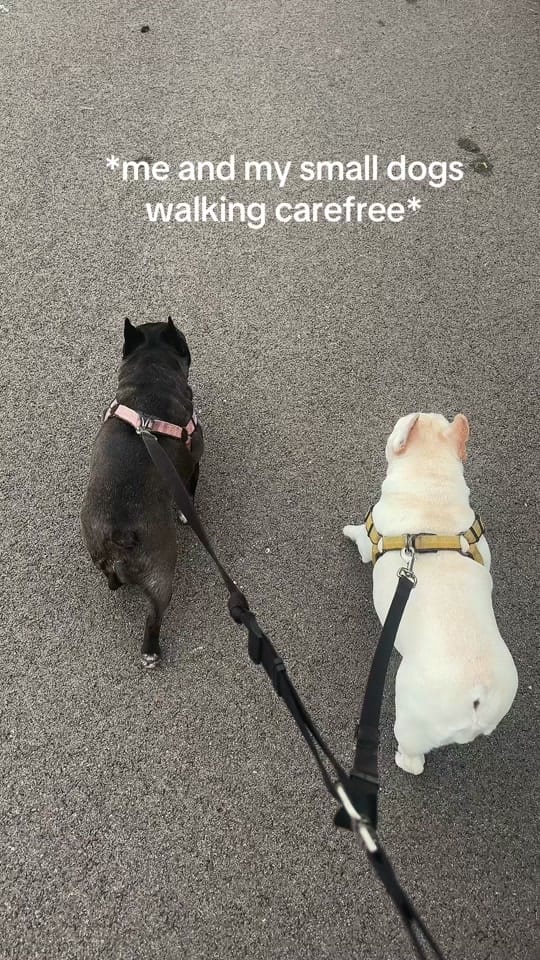 Post 3 by Jennifer Oesterling on TikTok (video)