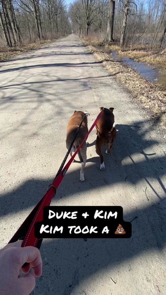 Post 6 by Misfit Angels on TikTok (video)