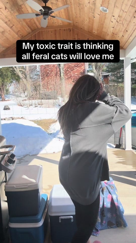 Post 7 by PhoenixAndFriends NonProfit on TikTok (video)