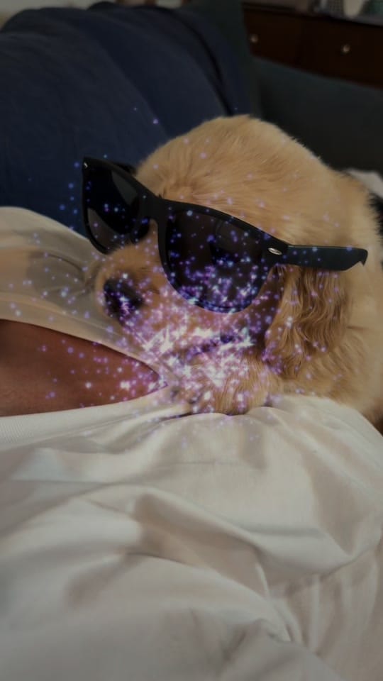Post 2 by Jessie -  CJ’s Golden Home on TikTok (video)