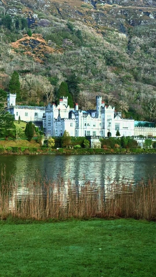 Post 1 by Avv. Safia Mohamed Nor on TikTok (video)