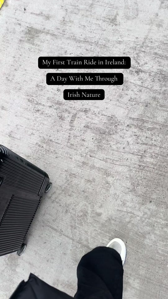 Post 10 by Avv. Safia Mohamed Nor on TikTok (video)
