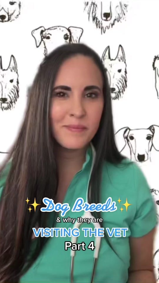 Post 9 by Jackie Dueñas, DVM 🐾 on TikTok (video)