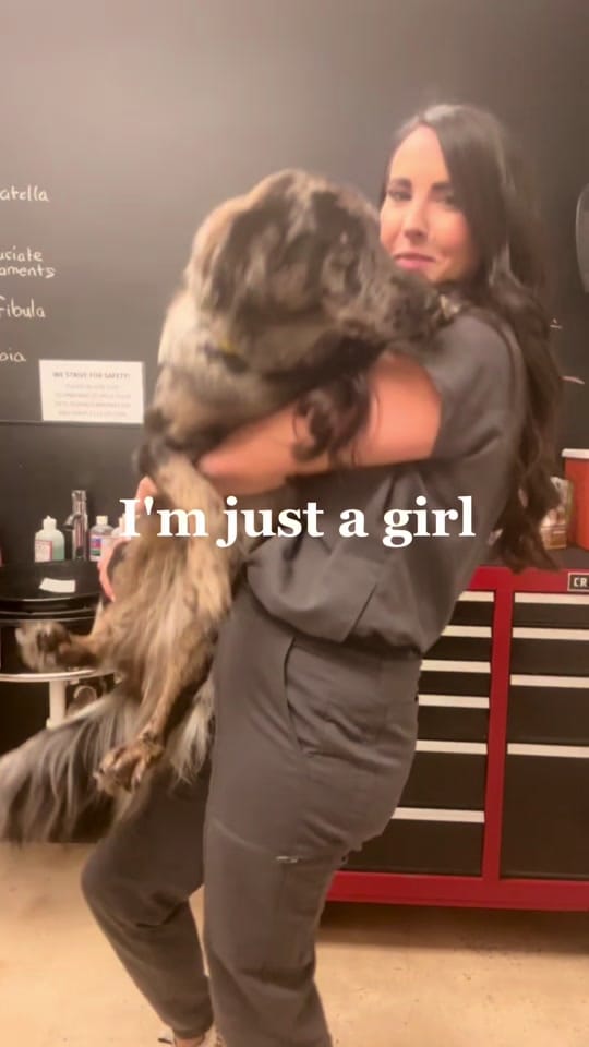 Post 6 by Jackie Dueñas, DVM 🐾 on TikTok (video)