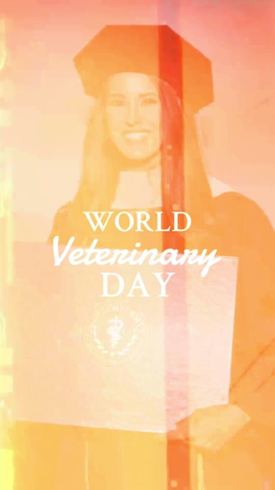 Post 5 by Jackie Dueñas, DVM 🐾 on TikTok (video)