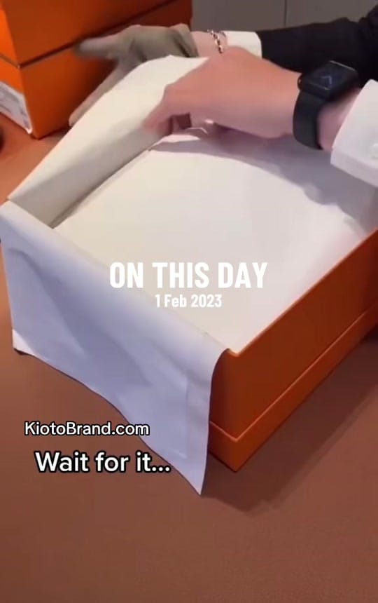Post 5 by HERMÈS on TikTok (video)