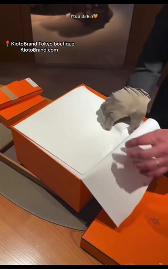 Post 7 by HERMÈS on TikTok (video)