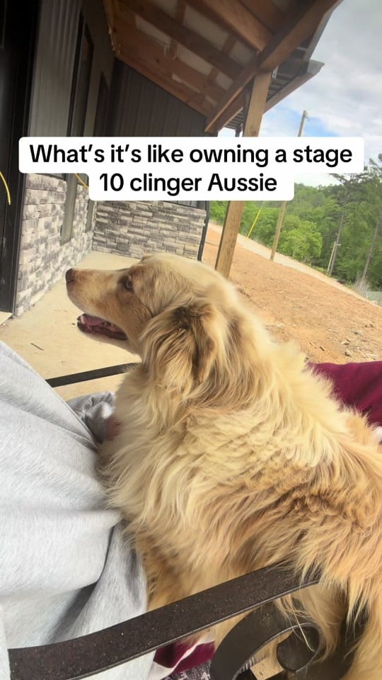 Post 3 by Ashley Isaac on TikTok (video)