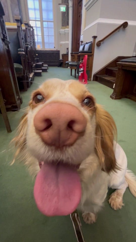 Post 1 by BeBoldBeBham on TikTok (video)