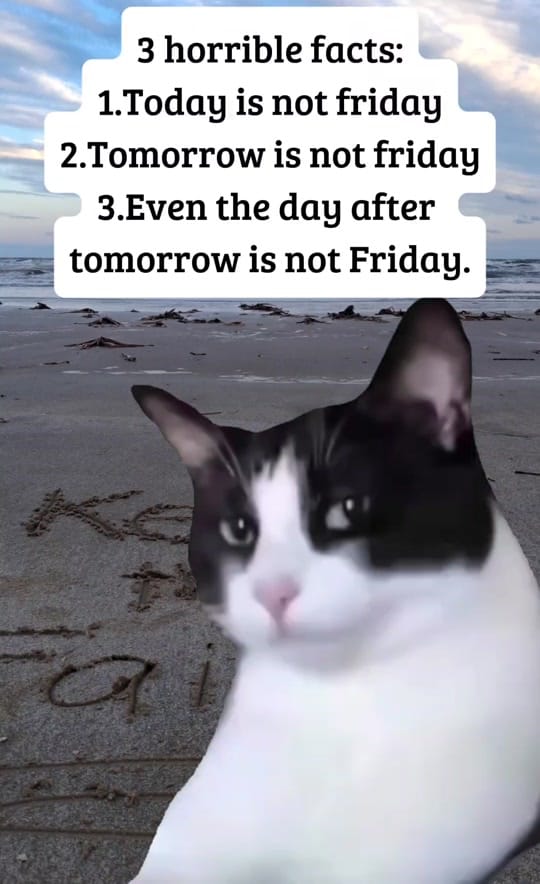Post 2 by TexasNita on TikTok (video)