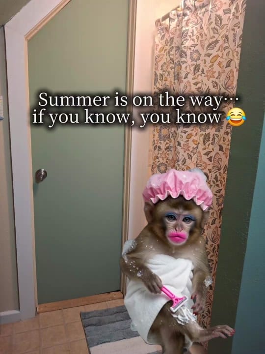 Post 5 by TexasNita on TikTok (video)