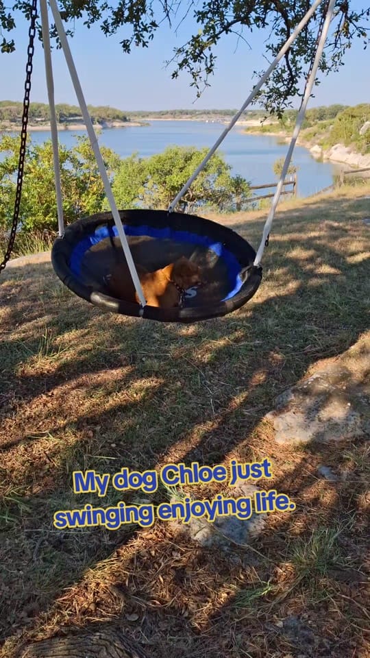 Post 8 by TexasNita on TikTok (video)