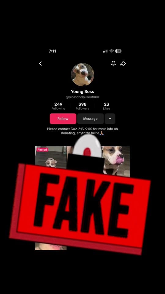 Post 9 by Humane Animal Partners on TikTok (video)