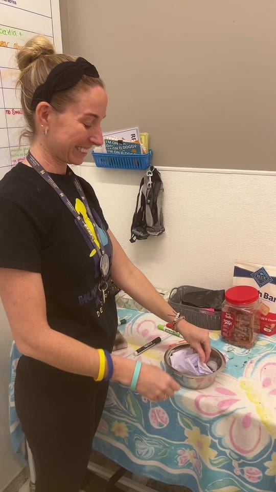 Post 3 by Humane Animal Partners on TikTok (video)