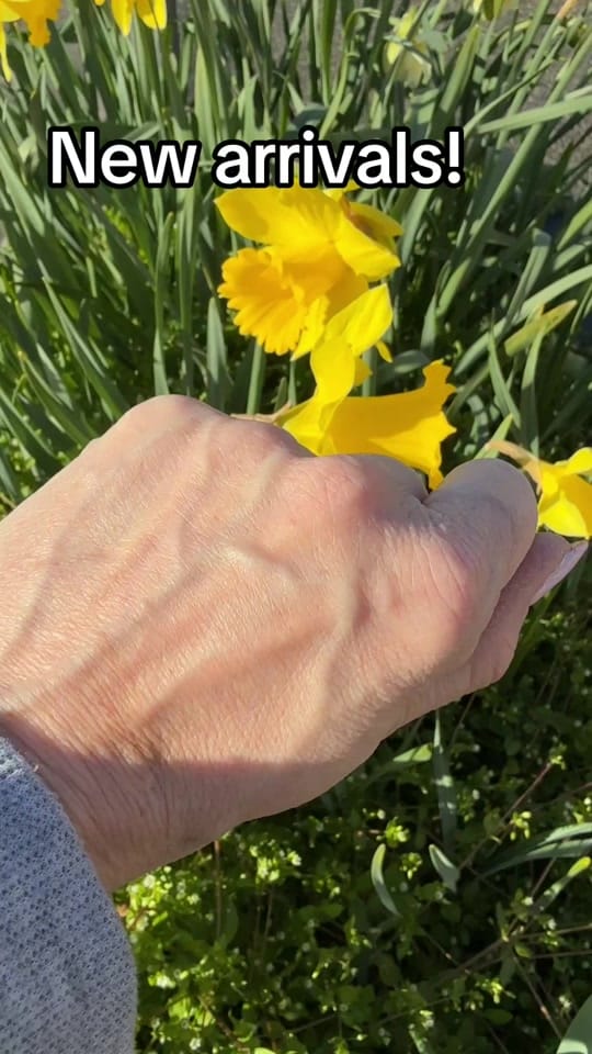Post 8 by Crafty’s Crystals Inc on TikTok (video)