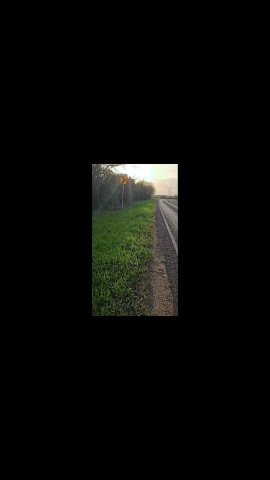 Post 8 by AHAR Alaskas Hope Animal Rescu on TikTok (video)
